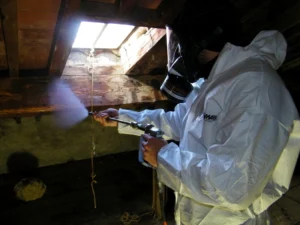 pulvérisation nuisibles charpente