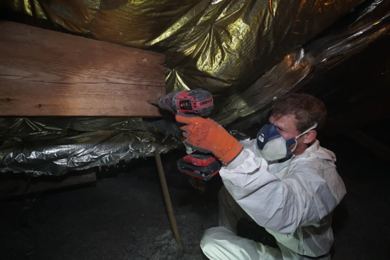 Traitement bois et termites dans le Var